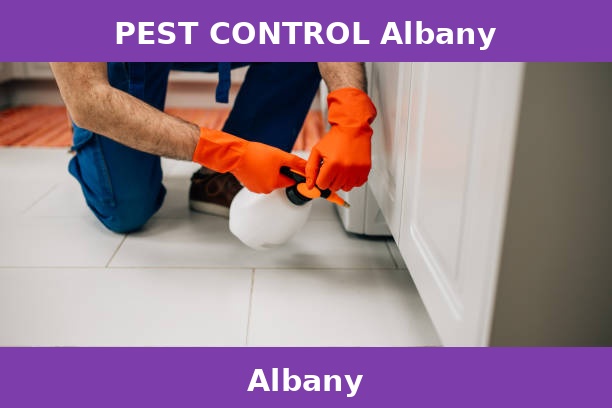 PEST CONTROL Albany